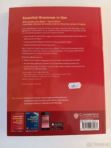 Kniha Essential Grammmar in Use - 2