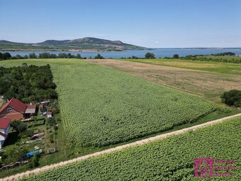 Prodej pozemky pro bydlení, 9 500 m2 - Přítluky - Nové Mlýny - 2