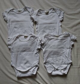 Body, vel. 74-80 - 2