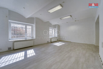 Pronájem bytu 3+kk, 167 m², Plzeň, ul. Palackého - 2