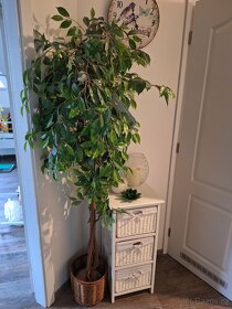 3x umělý fikus Benjamin a osvětlený vodopád - 2