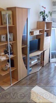 Pronájem garsonky, P10 Záběhlice, Přesličkova, DK00083W - 2