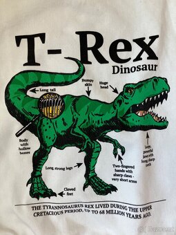 Mikina dinosaur bílá 110/116 H&M - 2