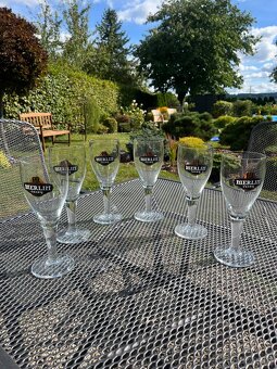 Pivní sklenice Merlin - 2