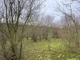 Lesní pozemek Šarovy - 2