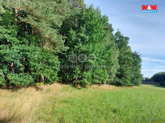 Prodej lesa, 4924 m², Paceřice - 2