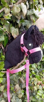 Hobby horse - 2