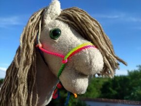 Hobby horse - 2