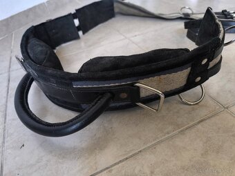 Lonžovací obřišník a madly pro pony - 2