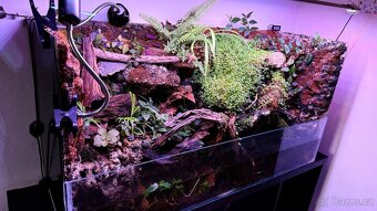 Paludarium, akvarium pro krevetky a kraby Geosesarma apod - 2