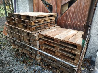 Pakety profi Epal - 2