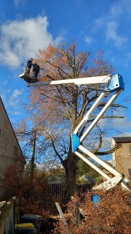 Výškové práce a kácení, rizikové kácení, řezání, úklid - 2