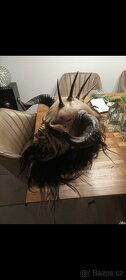 1 krampus maska - 2