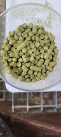 Chmel Granulovaný - Chmelové granule cca500kg - 2