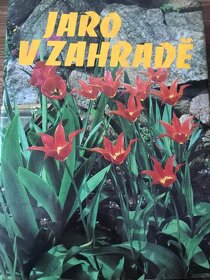 Jaro v zahradě - 2