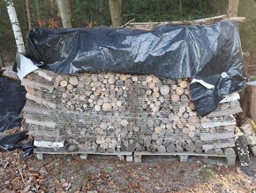 Nabízím palivove dřevo - 2