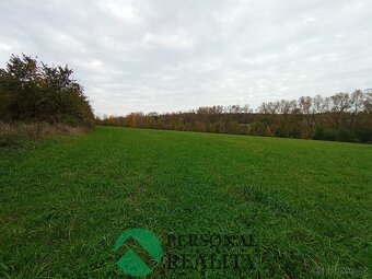 Prodej, pozemky pro bydlení, 10102 m2 - Všesulov - 2