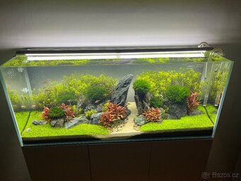 Akvarium Opti white 240 l + skříňka,kryt a světlo - 2