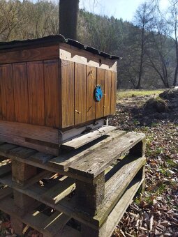 Vyzimovaná včelstva - 2