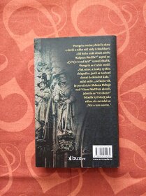 Pavel Šoltész, Případ dětinského dědice - 2