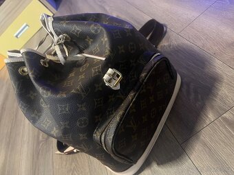 louis vuitton canavas bagpag - 2