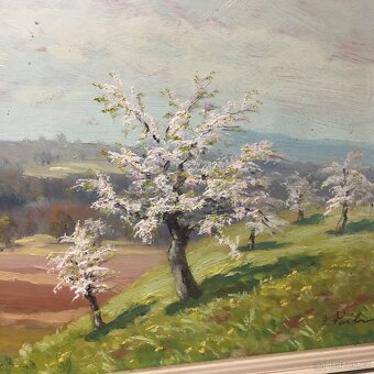 starý obraz Sad. Jabloně v květu. Tásler - 2