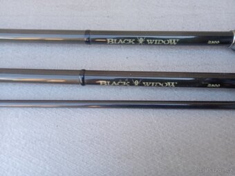 Pruty Daiwa Black Widow - 2