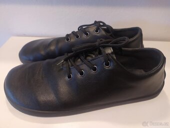Polobotky AHINSA model Ananda - 2