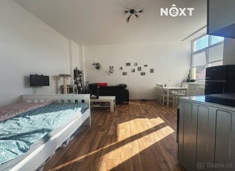 Pronájem byt 1+kk, 47㎡ - 2