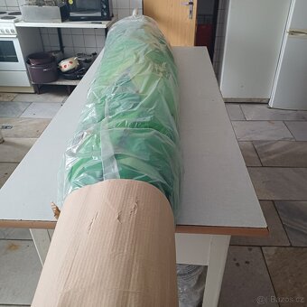 velký slunečník hospodský - 2