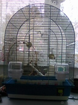 Krásná klec chromová - 2