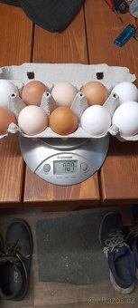 Domácí vajíčka domácí vejce - 2