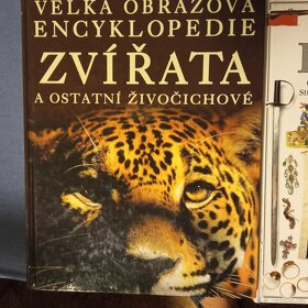 3 knihy  Zvířata, Dinosauři, Robin Hood - 2