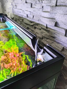 Akvarium Aquatlantis Volga 180 - 2