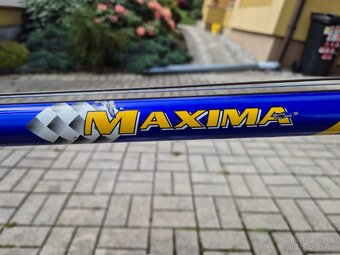 AMULET MAXIMA 19" - 2