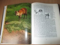 Knihy o zvířatech, houby, příroda, Nový svět - 2