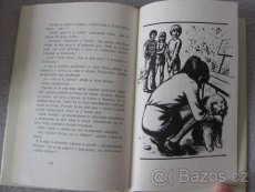 Nabízím Vera Ferra-Mikurová: MOJE VELKÁ PŘÍTELKYNĚ - 2