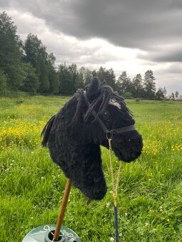Hobby horse - 2