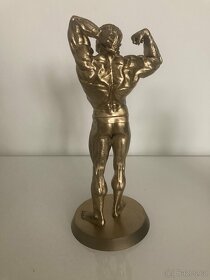 Arnold Schwarzenegger - zlatá soška - 2