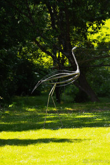 Volavka - Prodáno - 2