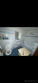 Pronájmu dům - 2
