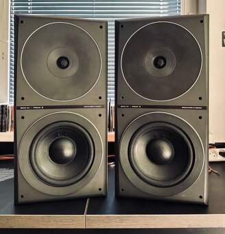 Bang olufsen beovox- S 50 - 2