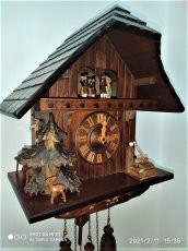 Velke, hraci kukacky, Schwarzwald... - 2