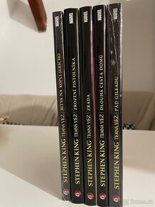 Komiksy - Stephen King Temná věž - 2