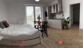 Pronájem, byty/1+kk, 30 m2, Diamantová 854/1, Újezd, 31200 P - 2