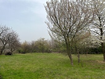 Sad a navazující les v Dolních Kounicích, celkem 12 899 m² - 2
