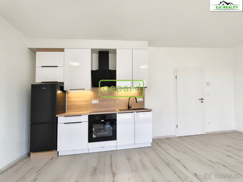Pronájem bytu 1+kk 32,60 m² Vysoká, Plzeň - Litice - 2