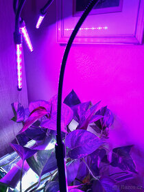 Akvárium 80 l - akvaponie - aquaponic tank - 2