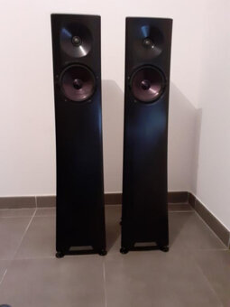 YG Acoustics Carmel 2 8000EUR - 2