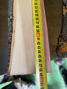 Drevo švestkové - 2